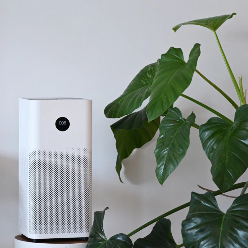 Indoor Air Quality Services (1)