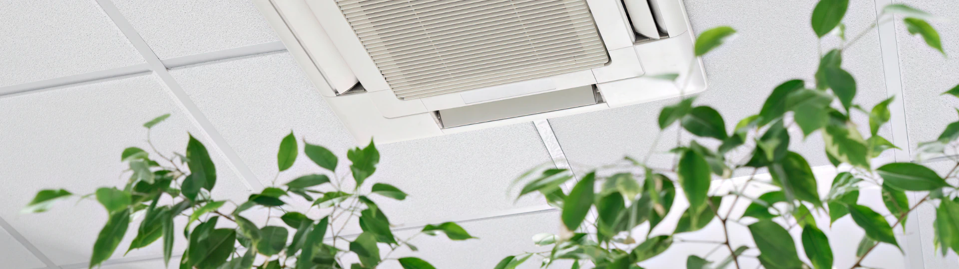 Indoor Air Quality Services breadcrumb